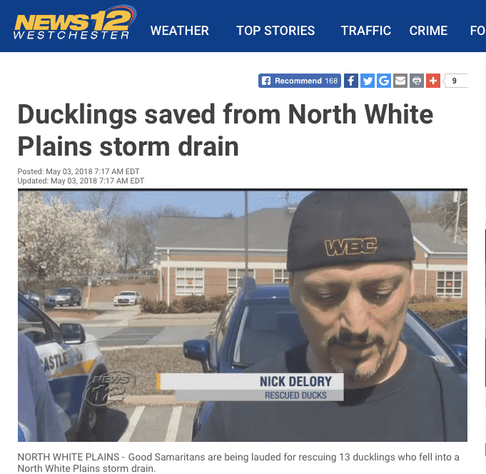 Nick the owner in a News 12 story